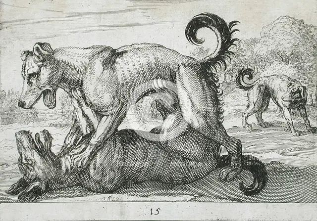 Two Dogs Fighting, 1610. Creator: Hendrick Hondius I.