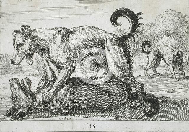 Two Dogs Fighting, 1610. Creator: Hendrick Hondius I.