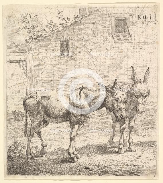 Two donkeys standing in a grassy yard, one in profile view facing right and another behind..., 1652. Creator: Karel Du Jardin.