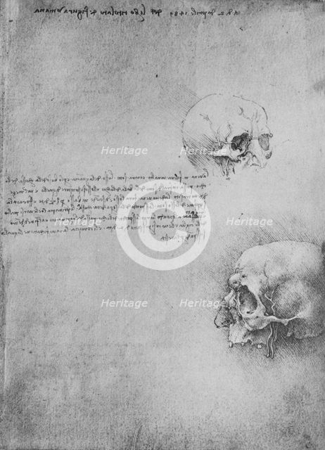 'Two Drawings of the Bony Structure of the Head', c1480 (1945). Artist: Leonardo da Vinci.