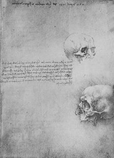 Two Drawings of the Bony Structure of the Head c1480 (1945). Artist: Leonardo da Vinci
