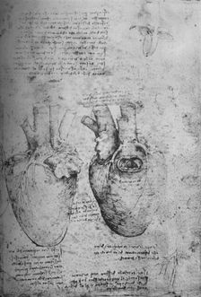Two Drawings of the Heart c1480 (1945). Artist: Leonardo da Vinci