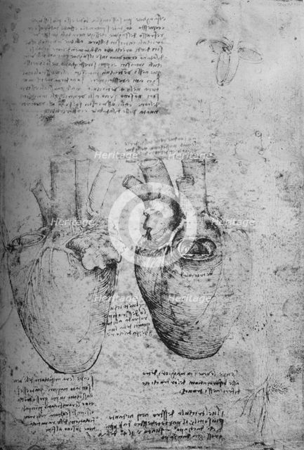 'Two Drawings of the Heart', c1480 (1945). Artist: Leonardo da Vinci.