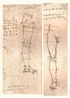 Two drawings illustrating the theory of the proportions of the human figure, c1472-c1519 (1883). Artist: Leonardo da Vinci