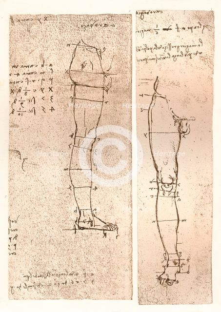 Two drawings illustrating the theory of the proportions of the human figure, c1472-c1519 (1883). Artist: Leonardo da Vinci.