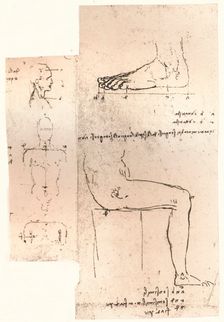 Two drawings illustrating the theory of the proportions of the human figure, c1472-c1519 (1883). Artist: Leonardo da Vinci