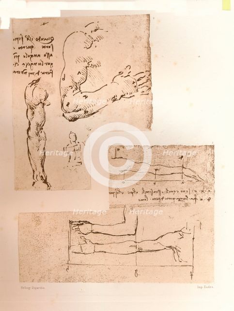 Two drawings illustrating the theory of the proportions of the human figure, c1472-c1519 (1883). Artist: Leonardo da Vinci.