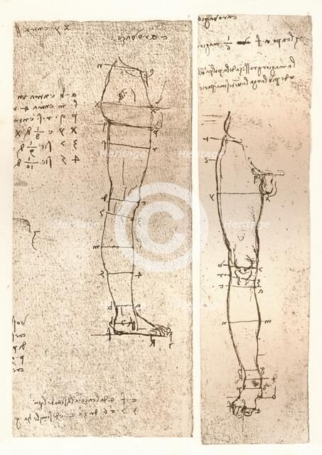Two drawings illustrating the theory of the proportions of the human figure, c1472-c1519 (1883). Artist: Leonardo da Vinci.