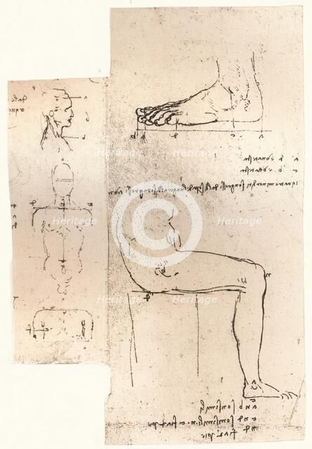Two drawings illustrating the theory of the proportions of the human figure, c1472-c1519 (1883). Artist: Leonardo da Vinci.