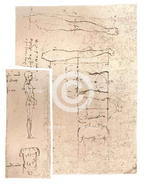 Two drawings illustrating the theory of the proportions of the human figure, c1472-c1519 (1883). Artist: Leonardo da Vinci.