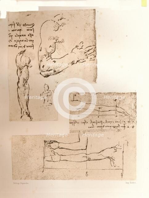 Two drawings illustrating the theory of the proportions of the human figure, c1472-c1519 (1883). Artist: Leonardo da Vinci.