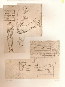Two drawings illustrating the theory of the proportions of the human figure, c1472-c1519 (1883). Artist: Leonardo da Vinci