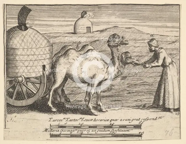 Two Dromedaries (Aubry de La Mottraye's "Travels throughout Europe, Asia and into Part ..., 1723-24. Creator: William Hogarth.