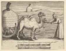 Two Dromedaries (Aubry de La Mottraye's "Travels throughout Europe, Asia and into Part ..., 1723-24. Creator: William Hogarth