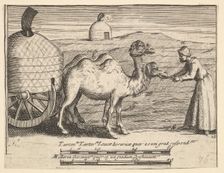 Two Dromedaries (Aubry de La Mottraye's "Travels throughout Europe, Asia and into Part ..., 1723-24. Creator: William Hogarth