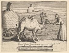 Two Dromedaries (Aubry de La Mottraye's "Travels throughout Europe, Asia and into Part ..., 1723-24. Creator: William Hogarth