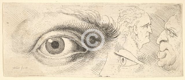 Two eyes and two heads, 1644-52. Creator: Wenceslaus Hollar.