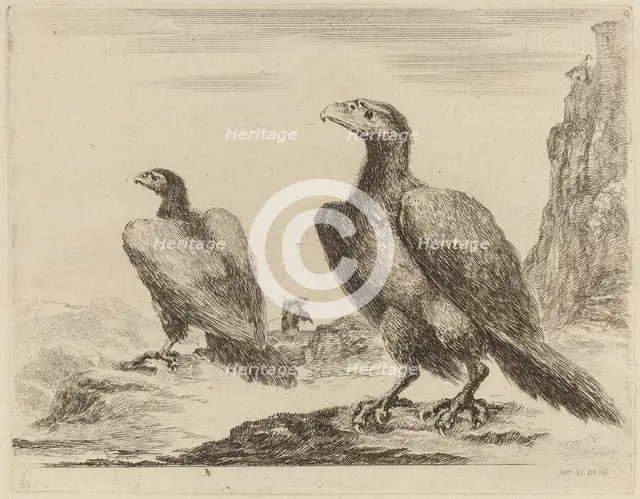 Two Eagles, Both with Heads Turned to the Left, On a High Cliff. Creator: Stefano della Bella.
