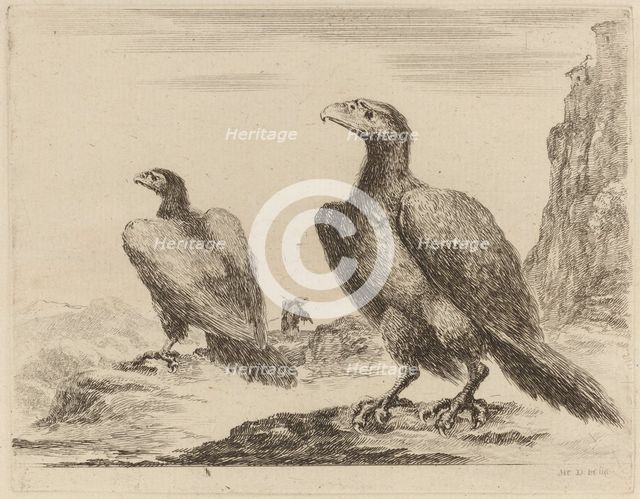 Two Eagles, Both with Heads Turned to the Left, On a High Cliff. Creator: Stefano della Bella.