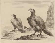 Two Eagles, Both with Heads Turned to the Left, On a High Cliff. Creator: Stefano della Bella
