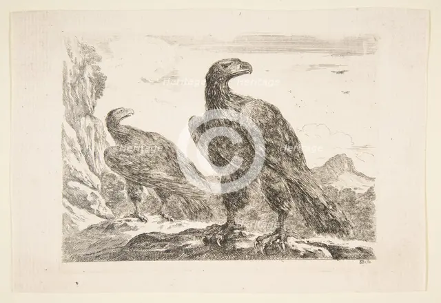 Two eagles, from 'Eagles' (Les aigles), ca. 1651. Creator: Stefano della Bella.