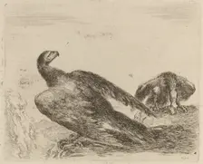 Two Eagles on a Promitory. Creator: Stefano della Bella