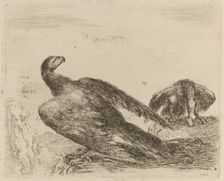 Two Eagles on a Promitory. Creator: Stefano della Bella