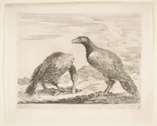 Two eagles, one devouring a lamb, from Eagles (Les aigles), ca. 1651. Creator: Stefano della Bella
