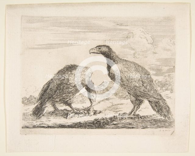 Two eagles, one devouring a lamb, from 'Eagles' (Les aigles), ca. 1651. Creator: Stefano della Bella.