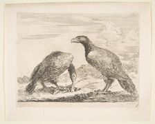 Two eagles, one devouring a lamb, from Eagles (Les aigles), ca. 1651. Creator: Stefano della Bella