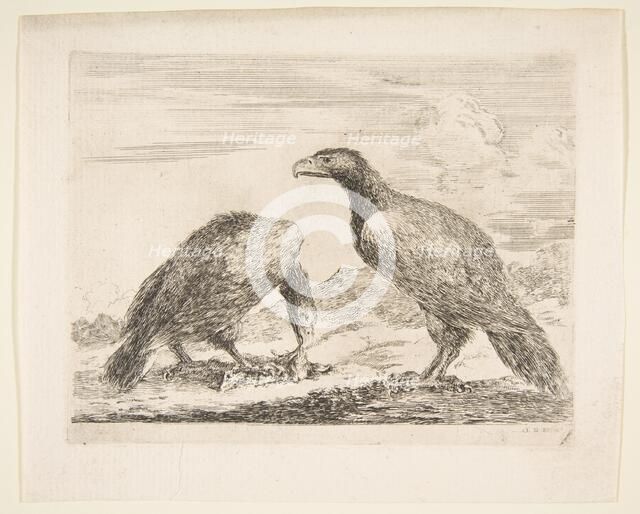 Two eagles, one devouring a lamb, from 'Eagles' (Les aigles), ca. 1651. Creator: Stefano della Bella.