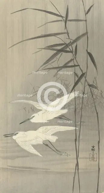 Two egrets in flight, Between 1910 and 1920. Creator: Ohara, Koson (1877-1945).