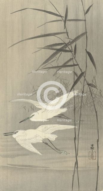 Two egrets in flight, Between 1910 and 1920. Creator: Ohara, Koson (1877-1945).