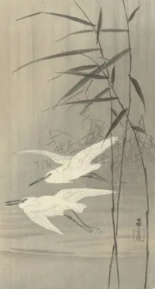Two egrets in flight, Between 1910 and 1920. Creator: Ohara, Koson (1877-1945)