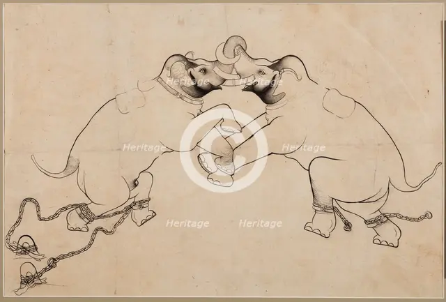 Two Elephants in Combat, early 1700s. Creator: Unknown.