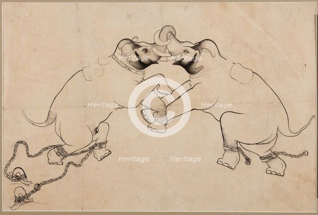 Two Elephants in Combat, early 1700s. Creator: Unknown.
