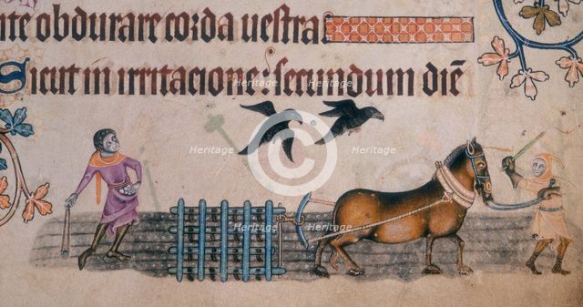 Two farm workers with a harrow, c1300-c1340. Creator: Unknown.