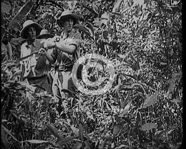 Two Female Civilians Wearing Explorers Outfit Observing Nature in the Jungle, 1920. Creator: British Pathe Ltd.