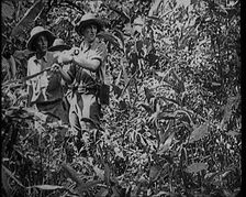 Two Female Civilians Wearing Explorers Outfit Observing Nature in the Jungle, 1920. Creator: British Pathe Ltd