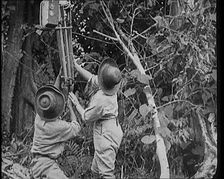 Two Female Civilians Wearing Explorers Outfit Setting up a Camera to Record Nature Life in..., 1920. Creator: British Pathe Ltd