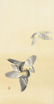 Two fighting birds. Creator: Ohara, Koson (1877-1945)