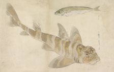 Two fish: gurnard and herring, 1836. Creator: Ishikawa Kazan