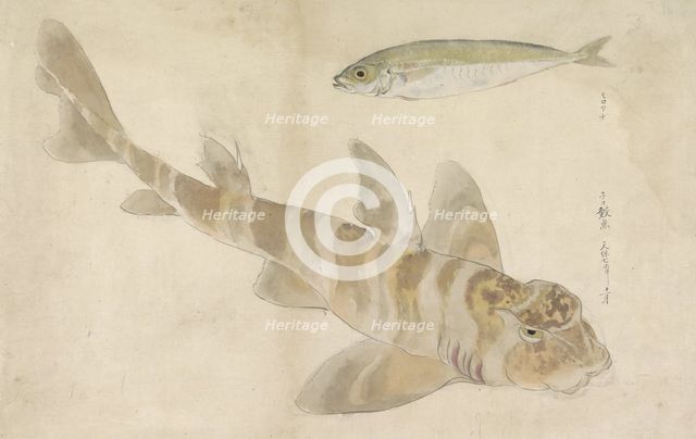Two fish: gurnard and herring, 1836. Creator: Ishikawa Kazan.
