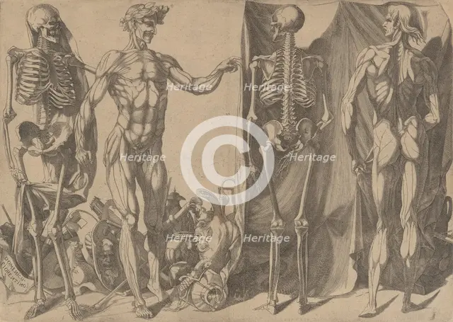 Two Flayed Men and Their Skeletons, ca. 1540-45. Creator: Domenico del Barbiere.