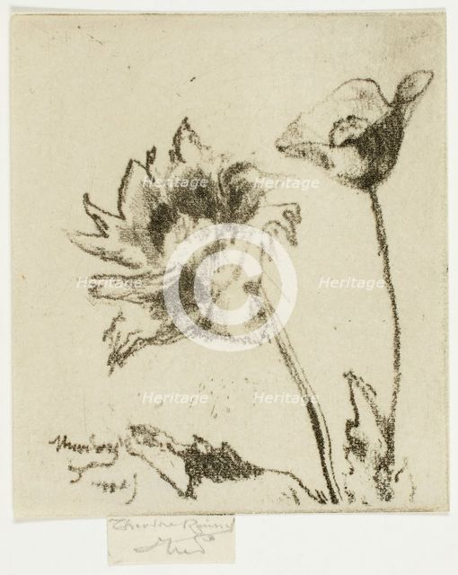 Two Flowers, 1890-95. Creator: Theodore Roussel.