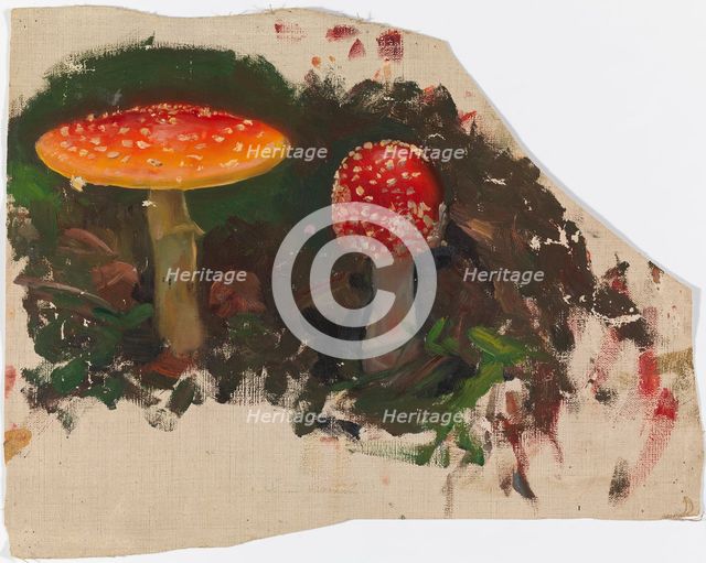 Two Fly Agarics, sketch for the painting Fairy Tale Princess, c1895-1896. Creator: Torsten Wasastjerna.