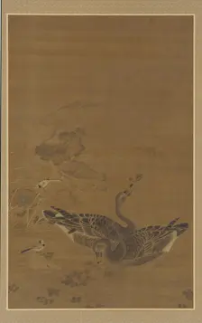 Two Geese Feeding in a Lotus Pond, Ming dynasty, 16th-17th century. Creator: Unknown