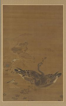 Two Geese Feeding in a Lotus Pond, Ming dynasty, 16th-17th century. Creator: Unknown