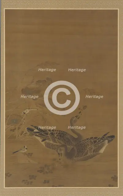 Two Geese Feeding in a Lotus Pond, Ming dynasty, 16th-17th century. Creator: Unknown.