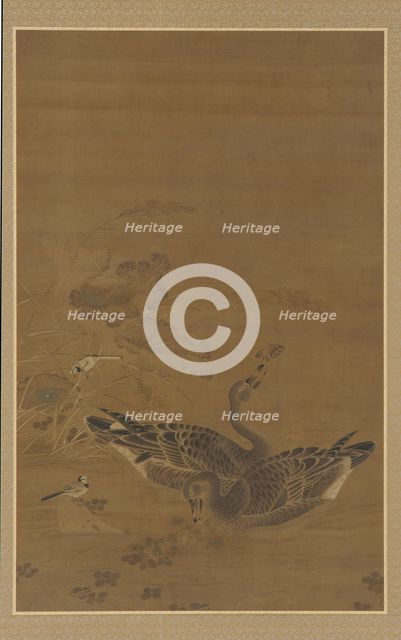 Two Geese Feeding in a Lotus Pond, Ming dynasty, 16th-17th century. Creator: Unknown.
